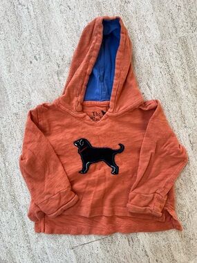 The Black Dog Orange Hoodie with Black Dog Appliqué and Blue Lining